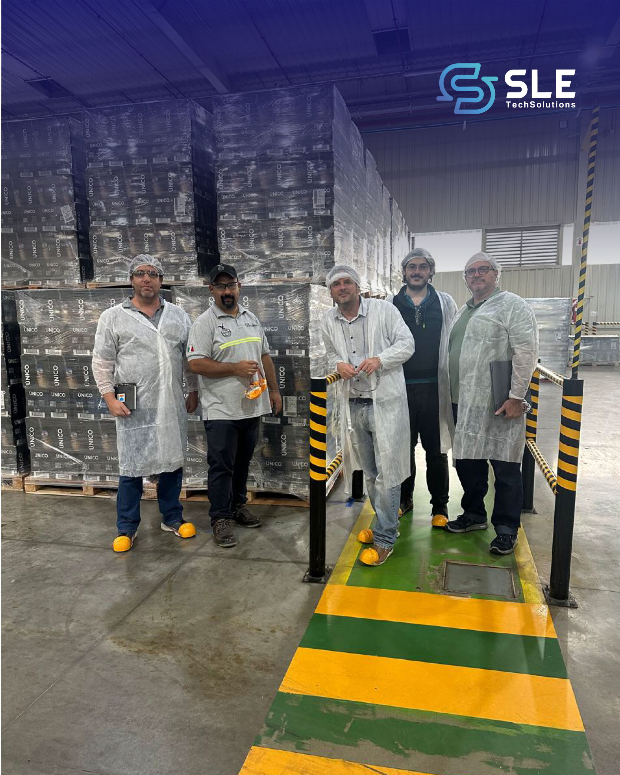 IMPULSANDO LA LOGÍSTICA CON SAP EWM